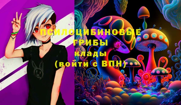 MESCALINE Покачи