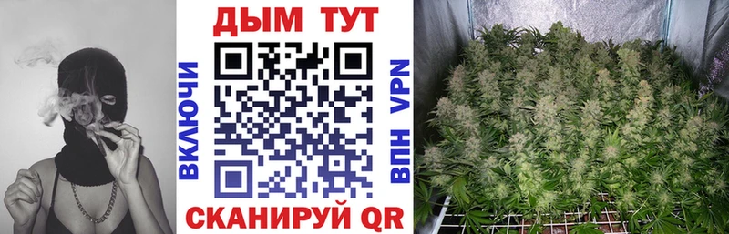 купить наркотик  Ивантеевка  сайты даркнета телеграм  Бошки Шишки планчик 